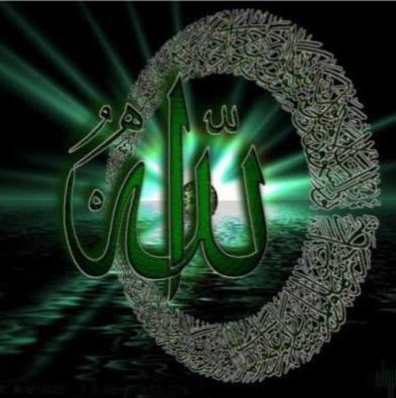 ahmedafifi2012